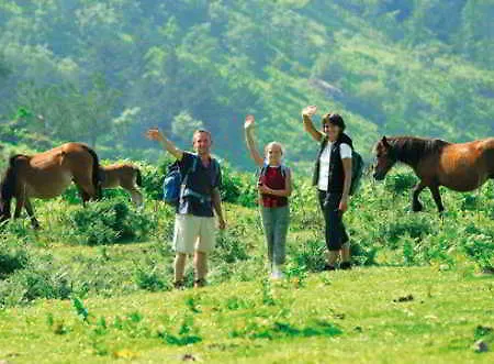 Vvf Pays Basque La Rhune Semesterpark
